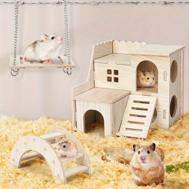 How to Create a Safe and Fun Environment for Your Guinea Pig or Hamster