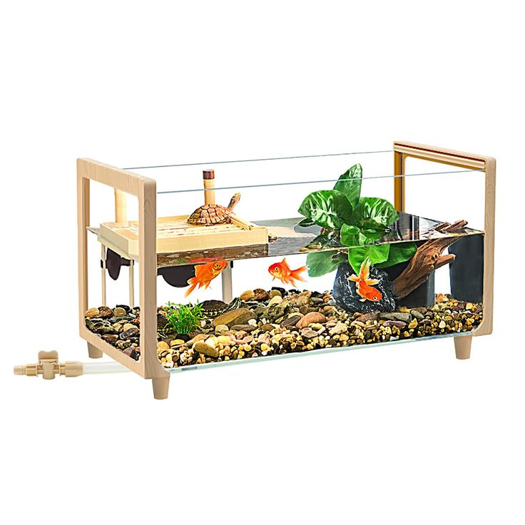 How to Set Up the Perfect Habitat for Your Reptile