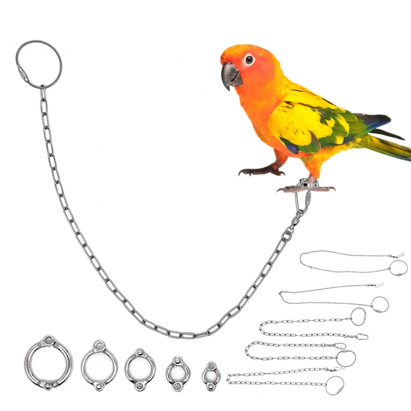 Parrot Leg Ring Stainless Steel  Anti Bite Training Accessories