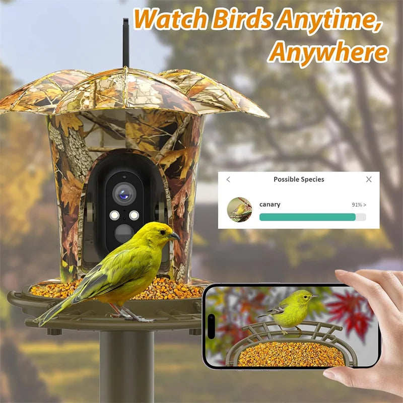 Auto Capture Camera, 6W Solar Panel. Bird House with 64G Card