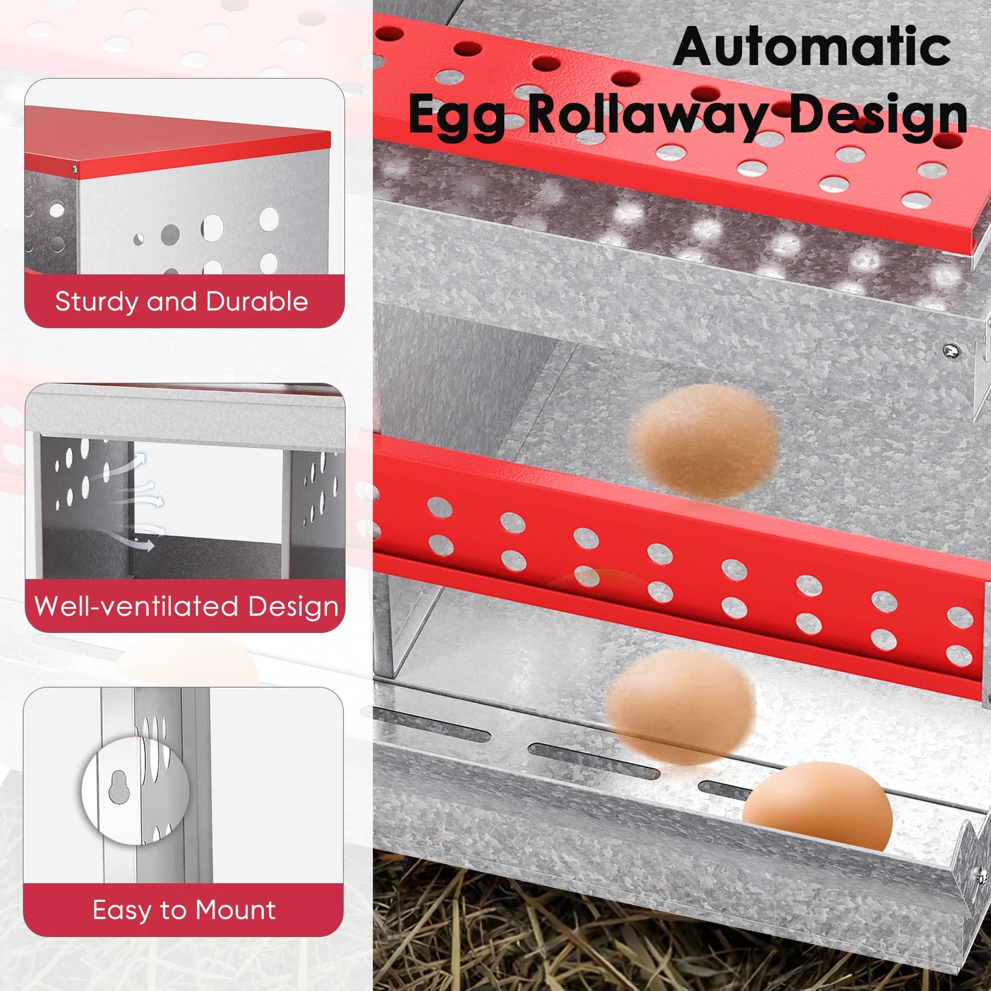 6 Compartment Metal Chicken Nesting Boxes. Wall Mount, Easy Egg Collection Vent