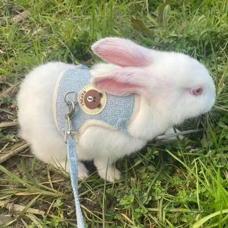 Rabbit Vest Harness and Leash Set