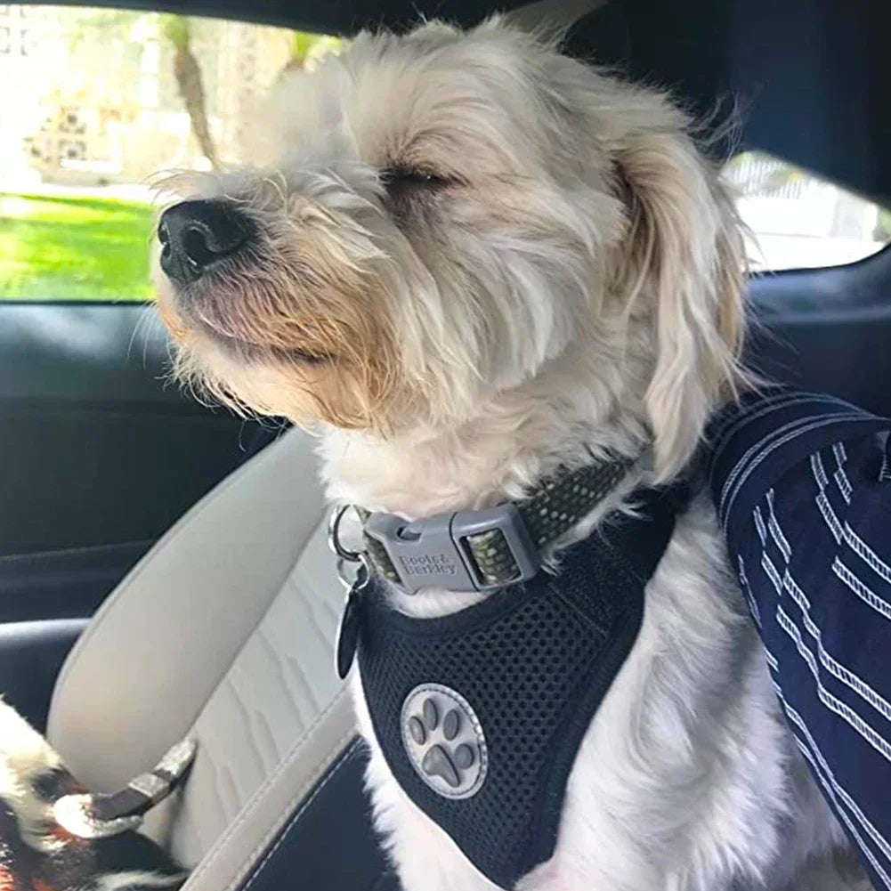 Dog Seatbelt Harness Breathable Mesh. Adjustable