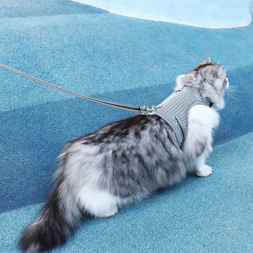 Anti-Escape Cat Mobility Aids for Disabled Pets ,Leashes Also Good for Walking Service Cat