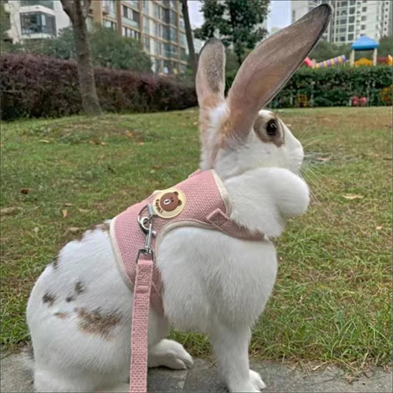 Rabbit Vest Harness and Leash Set