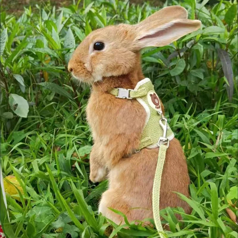 Rabbit Vest Harness and Leash Set