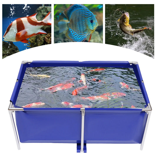 Aquarium Fish Water Tank Ornamental Swimming Pool Koi Breeding Pond of Fish Lobster Leeches Prawns