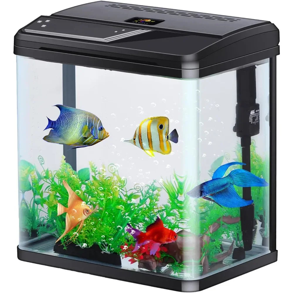 4 Gallon Glass Mini Aquarium Starter Kit. Desktop for Shrimp/Goldfish. Filter, Pump, LED Light