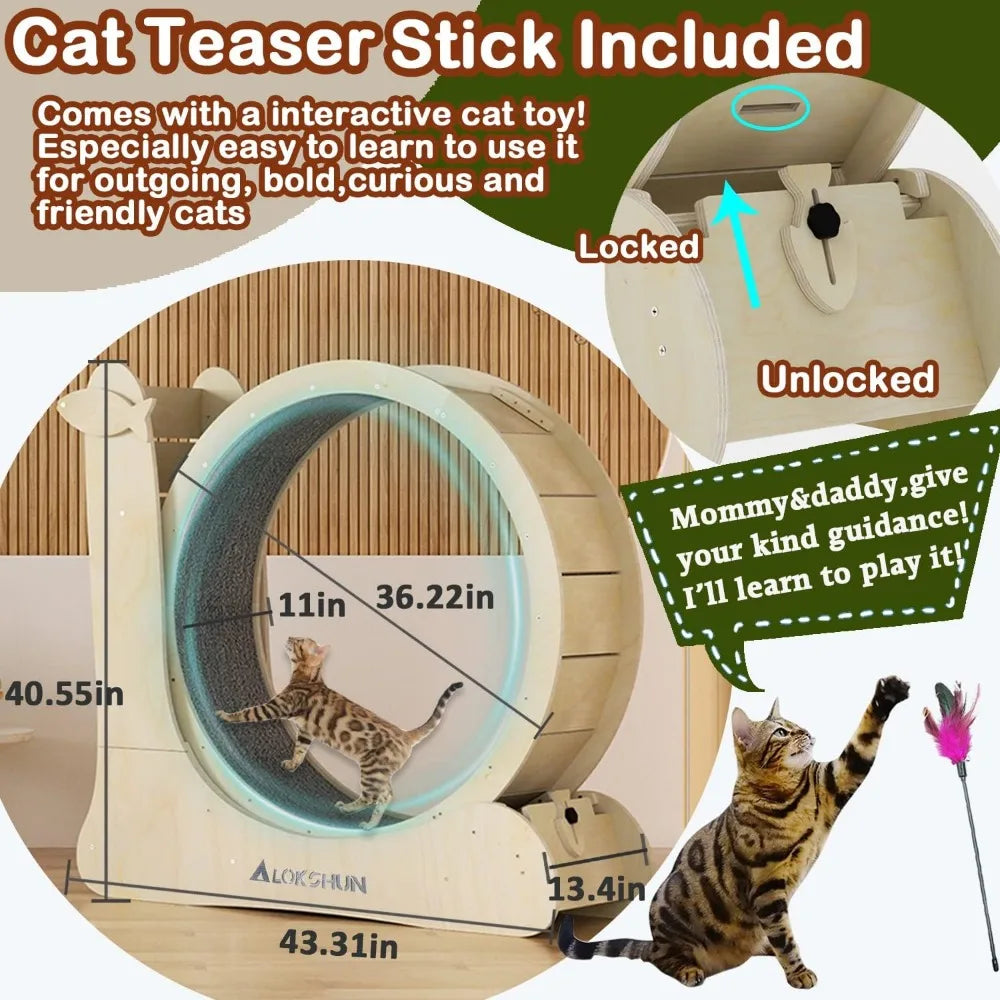 Indoor Cat Wheel Exerciser