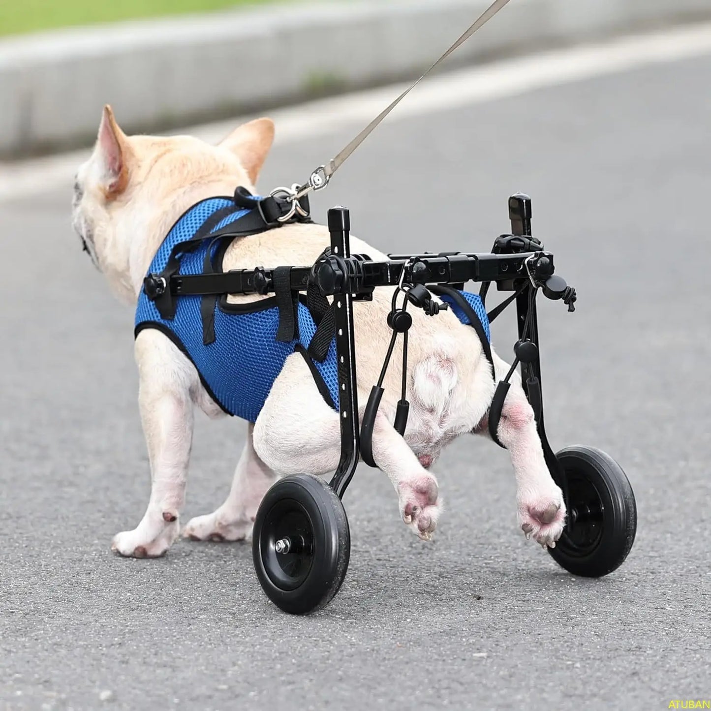 Mobility Aids for Disabled Pets Weighing 8-20 Pounds.