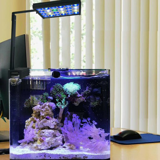 Sea Reef Tank with Marine Aquarium Light, Marine Coral.