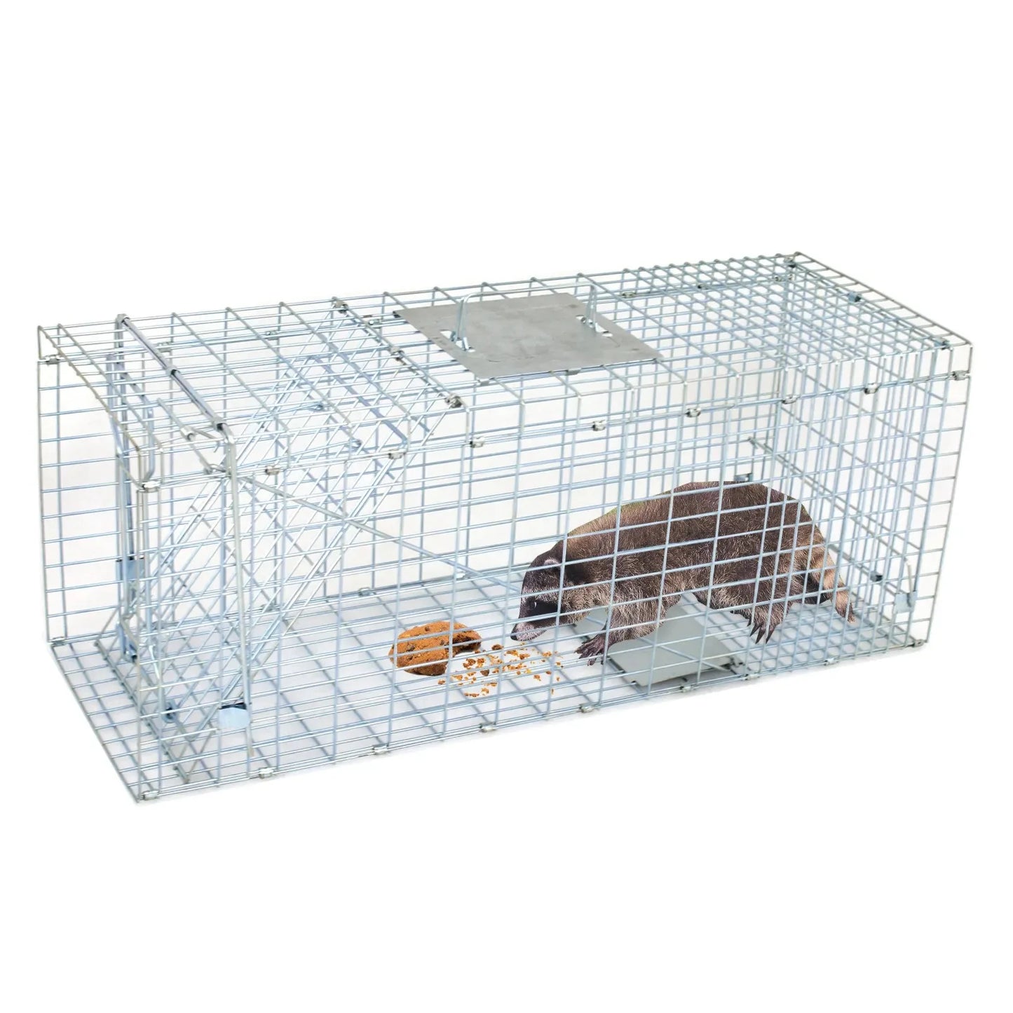 Steel Humane Animal Trap 32"X12.5"X12"