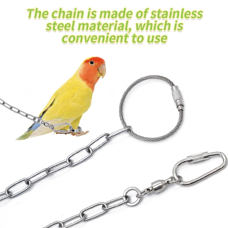 Parrot Leg Ring Stainless Steel  Anti Bite Training Accessories