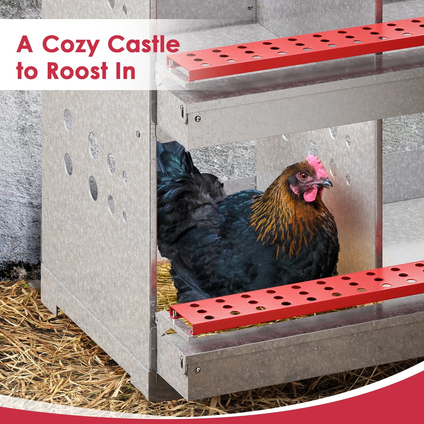 6 Compartment Metal Chicken Nesting Boxes. Wall Mount, Easy Egg Collection Vent