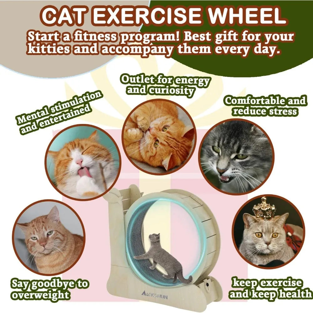 Indoor Cat Wheel Exerciser