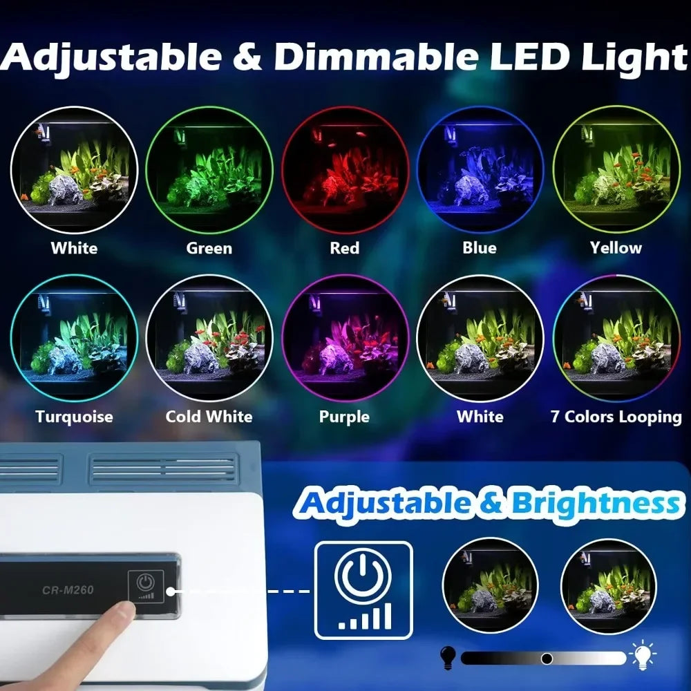 2 Gallon Glass Aquarium. Starter Kits, Self Cleaning, Colorful LED Light