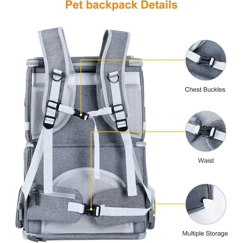 Dual Dog Backpack Carriers for Medium Dogs.