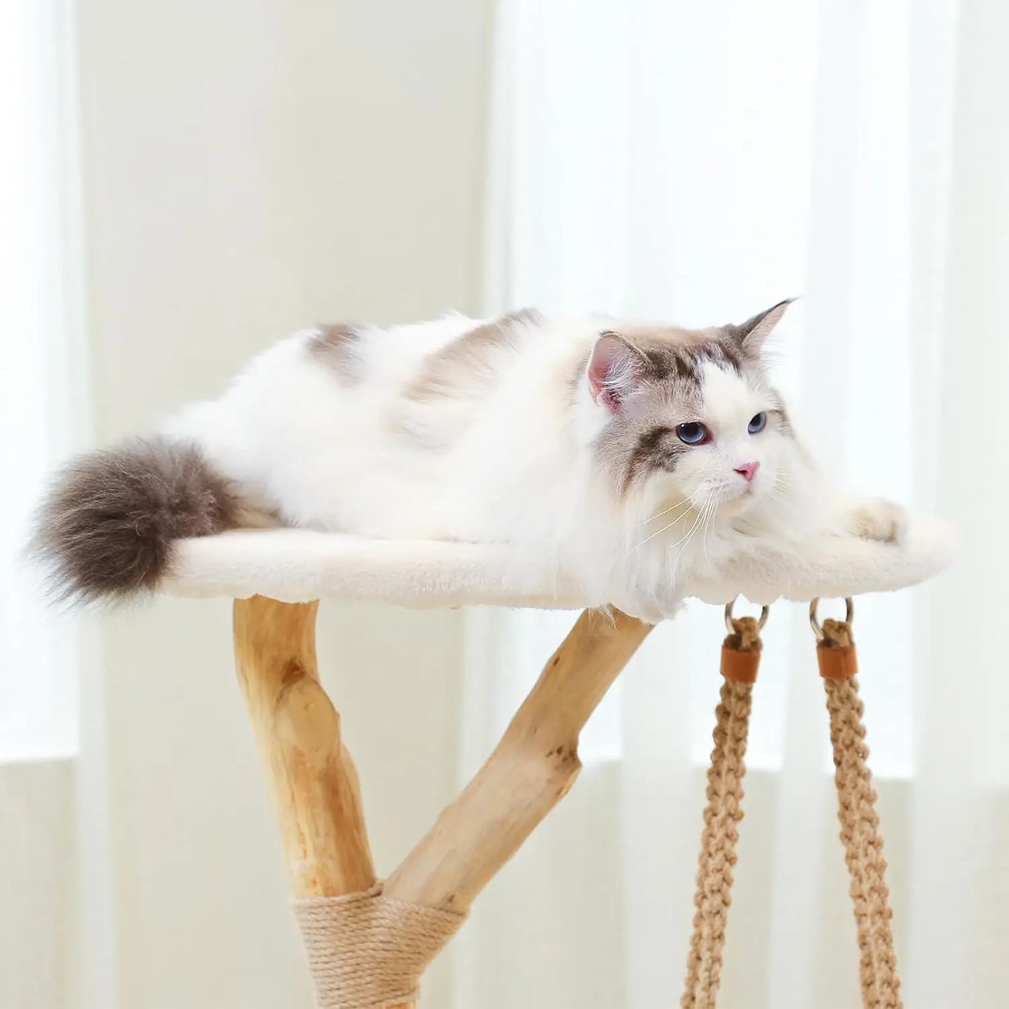 Modern Cat Tree for Indoor Cats. Washable