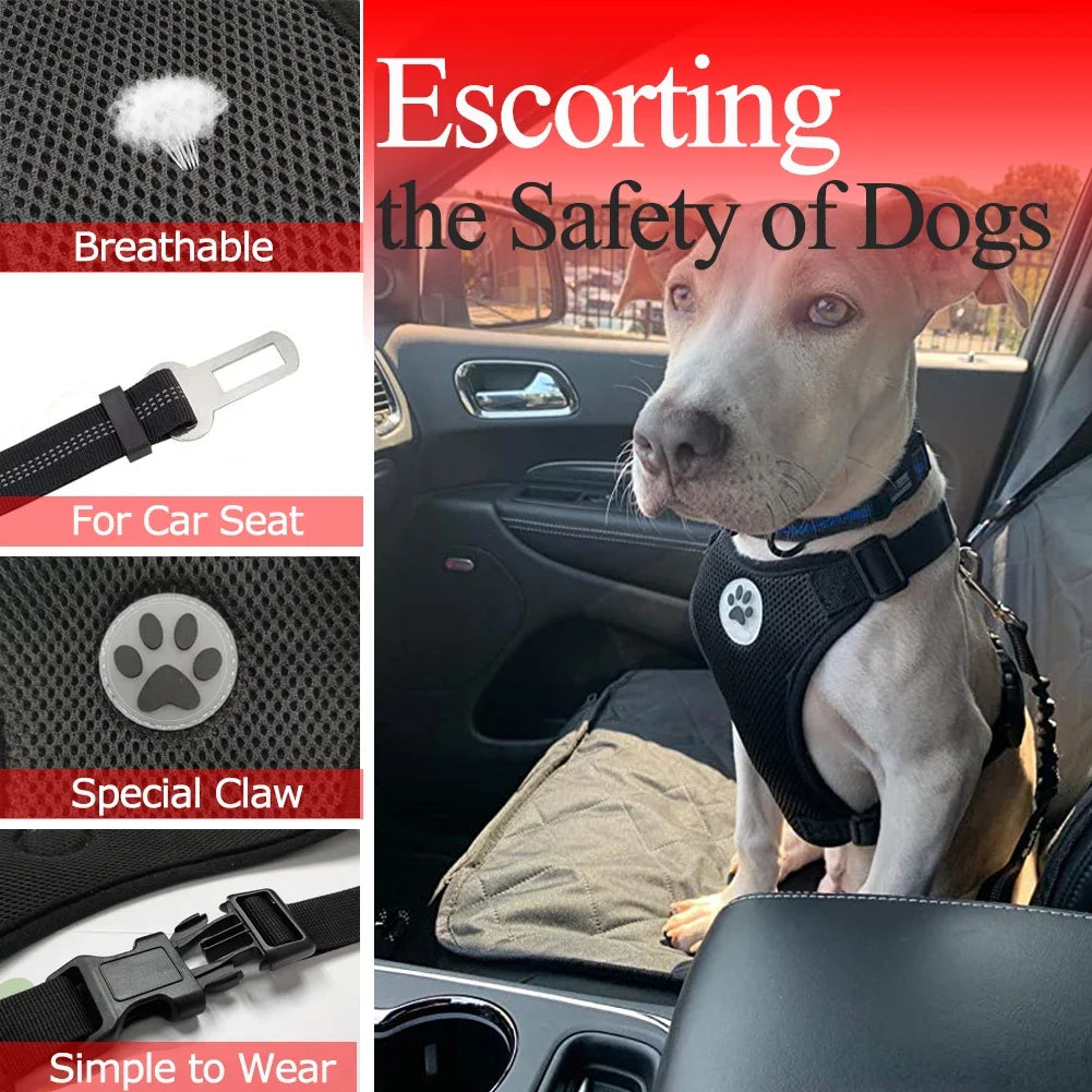 Dog Seatbelt Harness Breathable Mesh. Adjustable