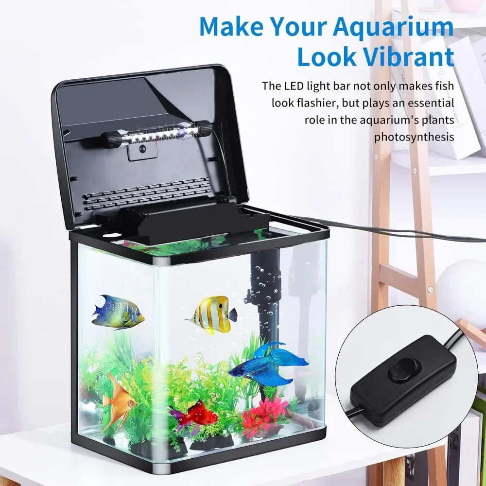 4 Gallon Glass Mini Aquarium Starter Kit. Desktop for Shrimp/Goldfish. Filter, Pump, LED Light