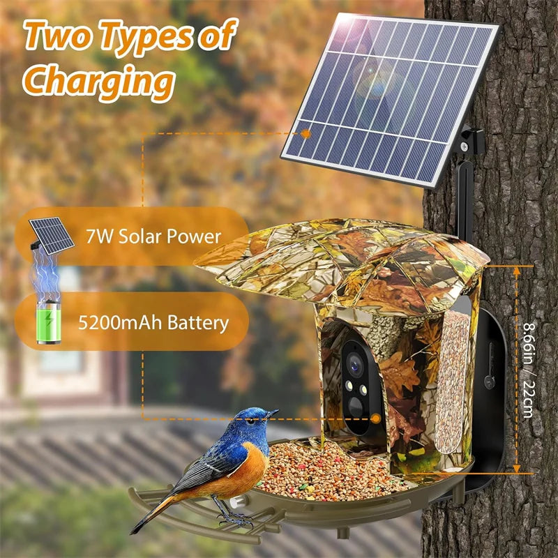 Auto Capture Camera, 6W Solar Panel. Bird House with 64G Card