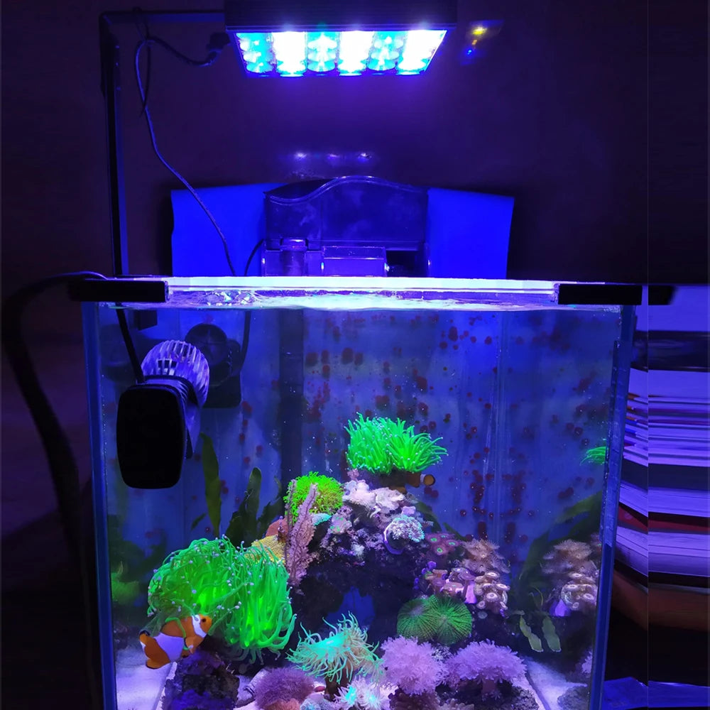 Sea Reef Tank with Marine Aquarium Light, Marine Coral.