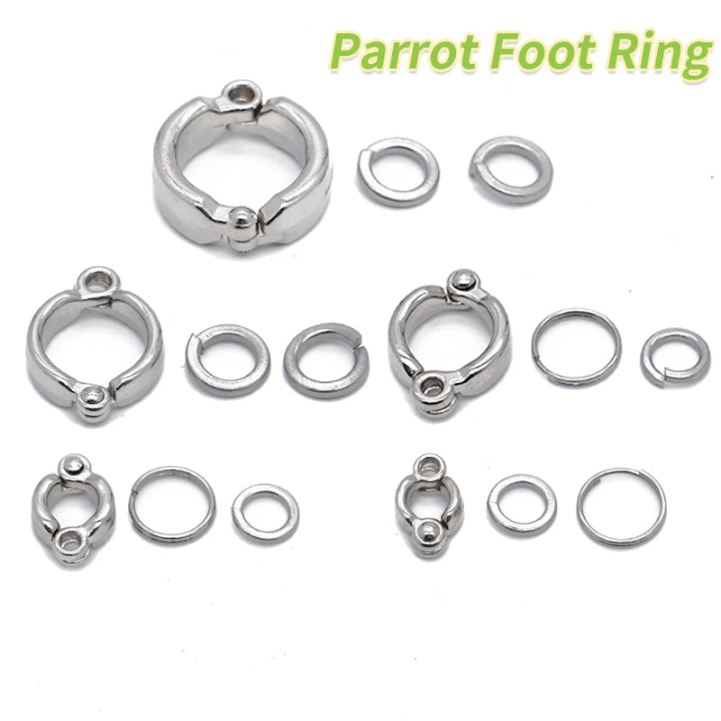 Parrot Leg Ring Stainless Steel  Anti Bite Training Accessories